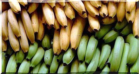 3 nutritional differences between banana and plantain