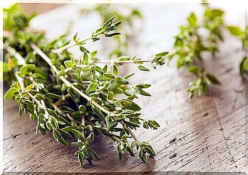 Thyme, one of the healing herbs to treat irritable bowel