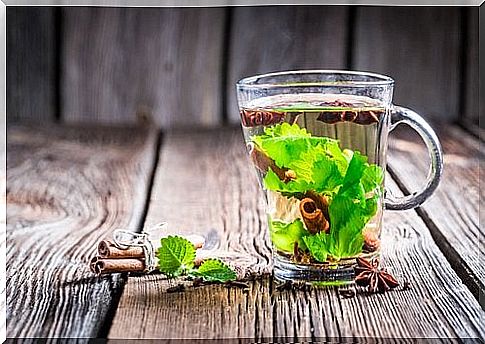 Cinnamon, basil, anise and mint infusion for abdominal pain