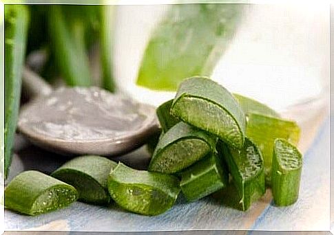 Aloe vera to relieve sunburn