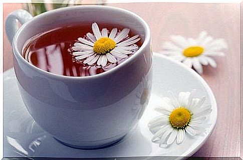 Chamomile Infusion for Nervous Colitis