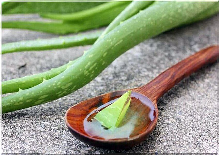 Aloe vera to lift the eyelids