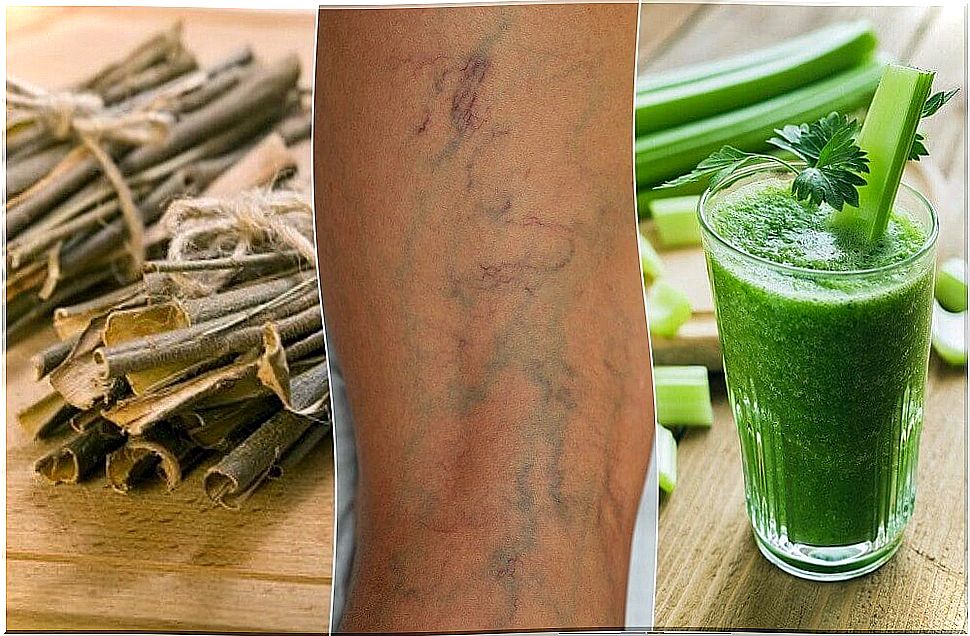 5 plants that help fight poor blood circulation