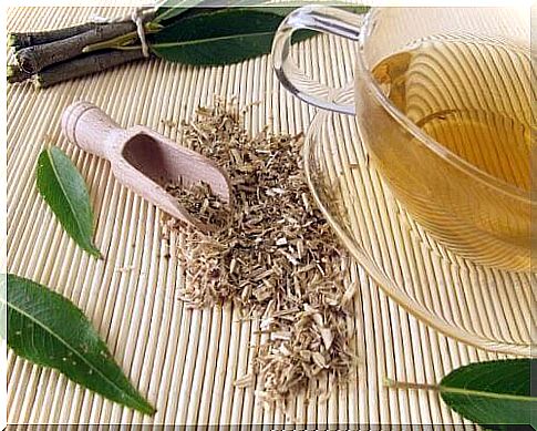 Willow tea to improve circulation