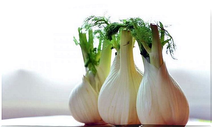 Fennel helps fight phlegm