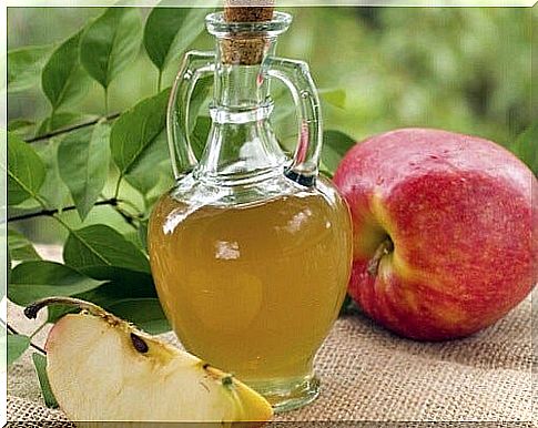 apple vinegar to lose weight