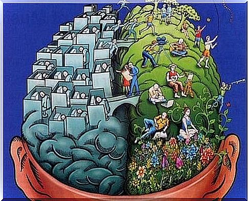 Differences in the right-handed or left-handed brain