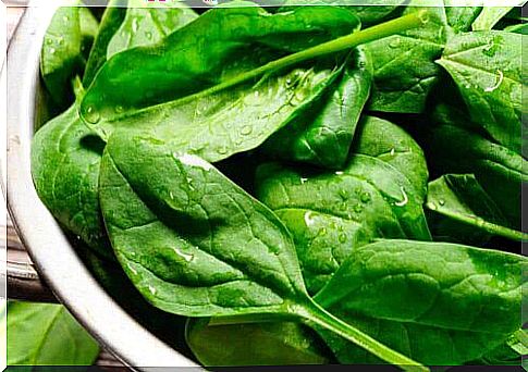 spinach leaves washed