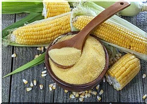 Corn semolina: know everything about this food