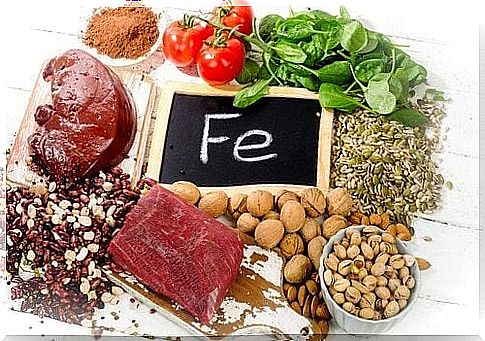 Foods to Increase Iron Levels