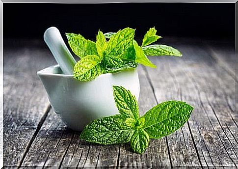 Mint and mint tea