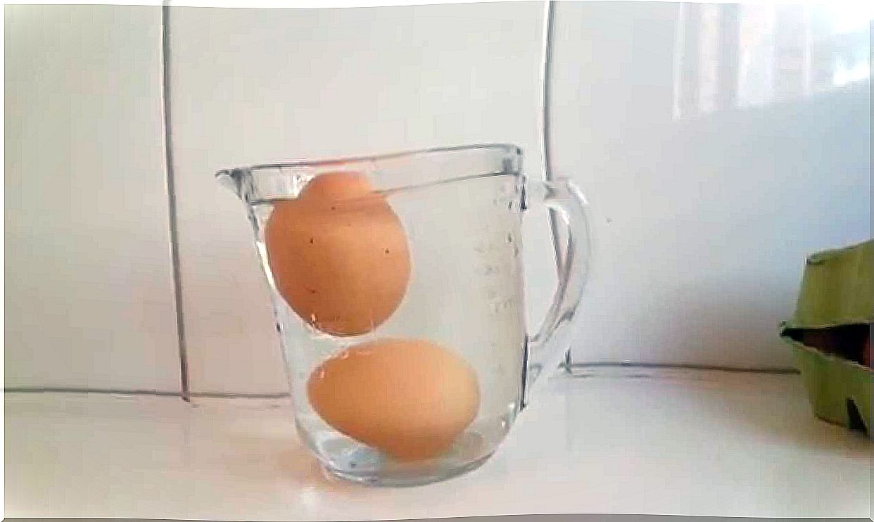 eggs in water