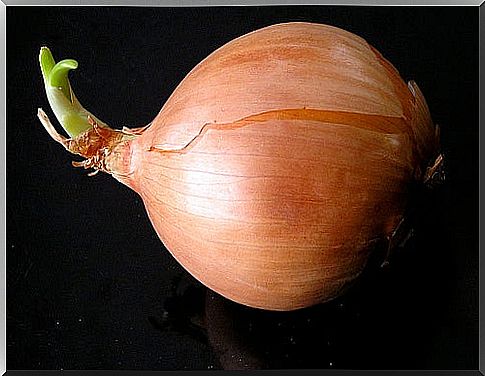 Onions help clear mucus from the lungs.