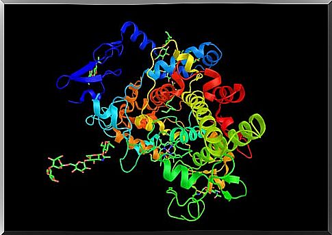 Composition of ibuprofen