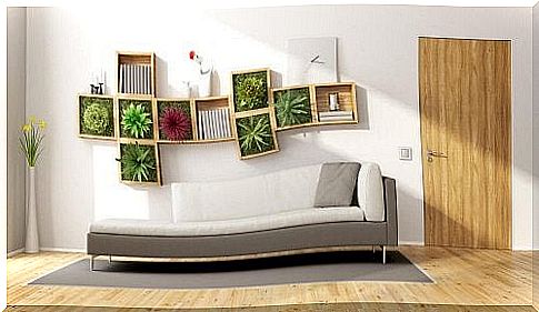 Decorate your room with plants