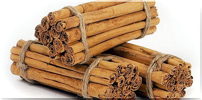 Know the properties of cinnamon