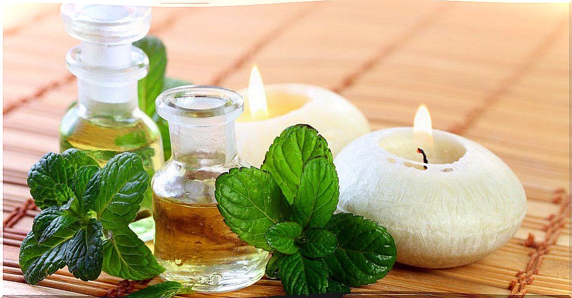 Mint oil: how to do it and what are its health benefits