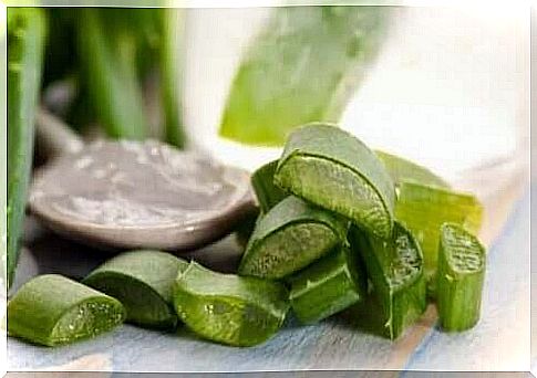 Aloe vera is one of the natural remedies for seborrheic dermatitis