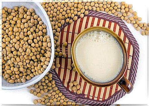 Soy milk to strengthen cartilage