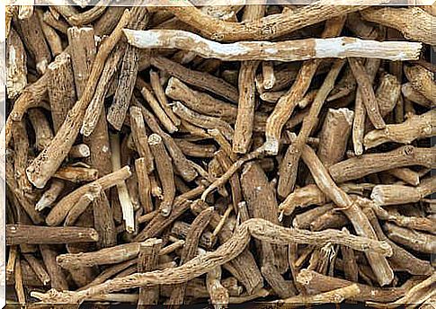 Using ashwagandha is one of the secrets of the inhabitants of the Himalayas