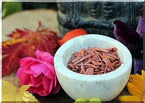 Sandalwood consumption is one of the anti-aging secrets of Himalayan inhabitants