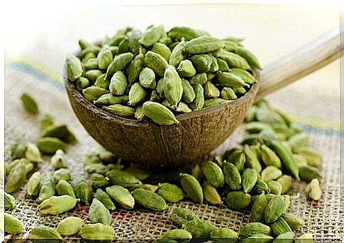 Cardamom consumption is one of the anti-aging secrets of Himalayan inhabitants