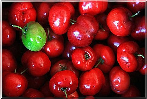 The incredible benefits of acerola