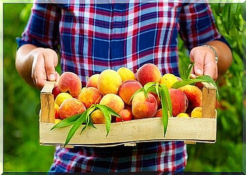 Box with peaches