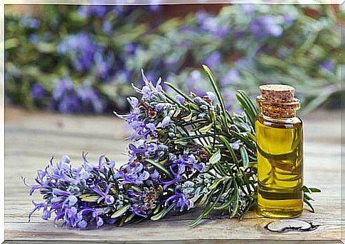 Rosemary-oil for-your-hair-growth