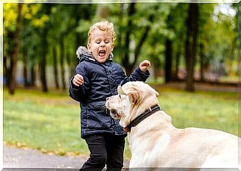 boy scared of dog