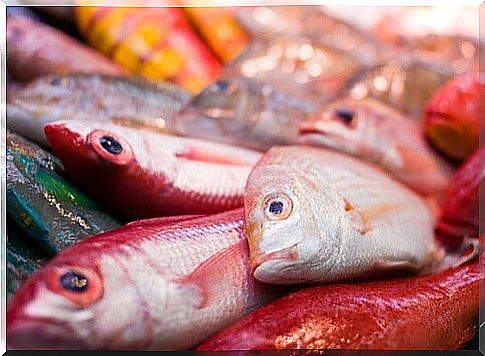 Presence of mercury in fish