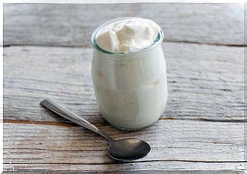 Yogurt to make the yogurt diet