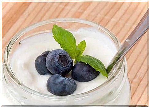 Yogurt Diet Characteristics